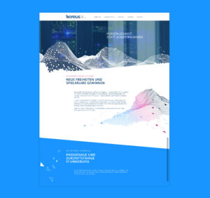 Boreus IT Webdesign Corporate Design Relaunch 2