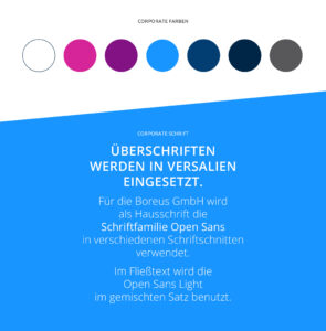 Boreus IT Corporate Design Relaunch Farben