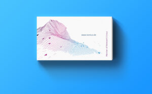 Boreus IT Corporate Design Relaunch Visitenkarten